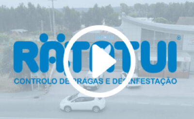 Ratatui – Video de Apresentação