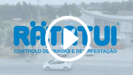 Ratatui – Video de Apresentação